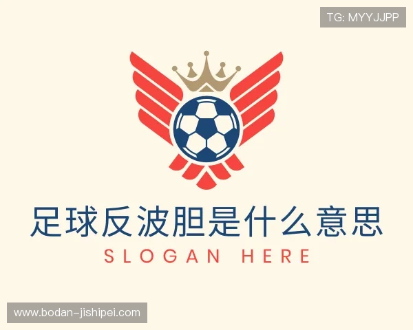 解读反波胆是什么